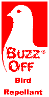 Buzz Off Bird